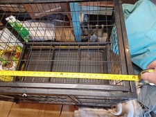 transporter dog guard