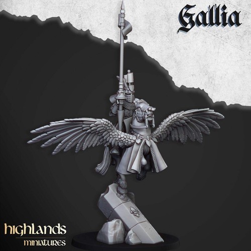 Gallia knights pegasus - gallia, |