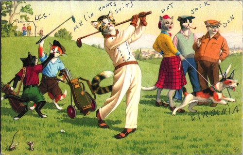 C1970 anthropomorphic cats - c1970,