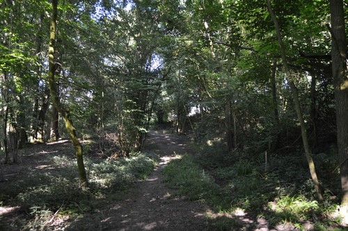 Photo 6x4 eight acre wood - photo,