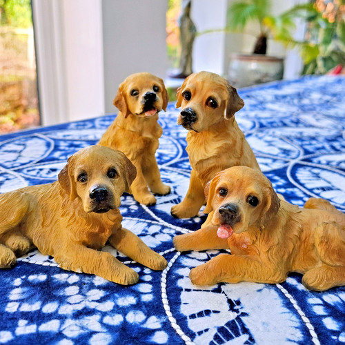 Unique golden retriever dog - golden,