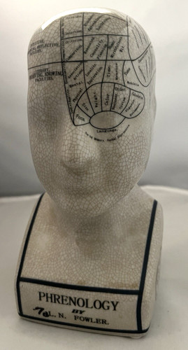 Phrenology head statue - phrenology, by