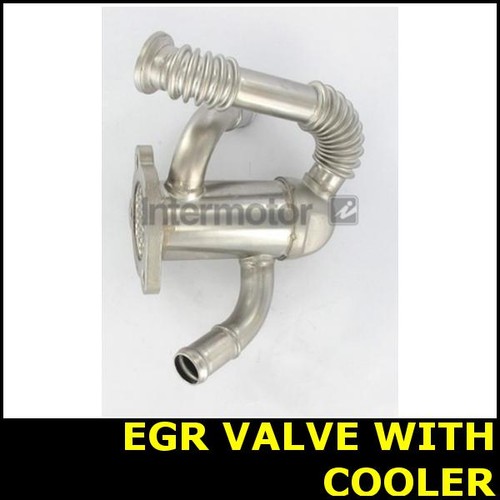 Egr valve with cooler fits - egr,