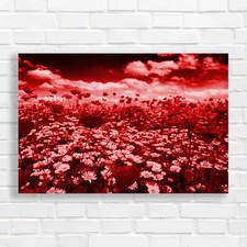 Vibrant poppy field - vibrant, canvas