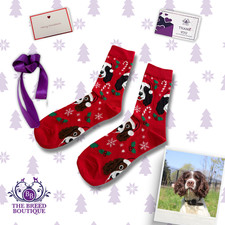 SPRINGER SPANIEL CHRISTMAS