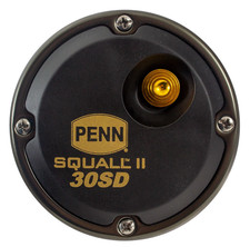 NEW PENN Squall II 30SD Star Drag Left Hand 6.1:1 Conventional Reel SQLII30SD 