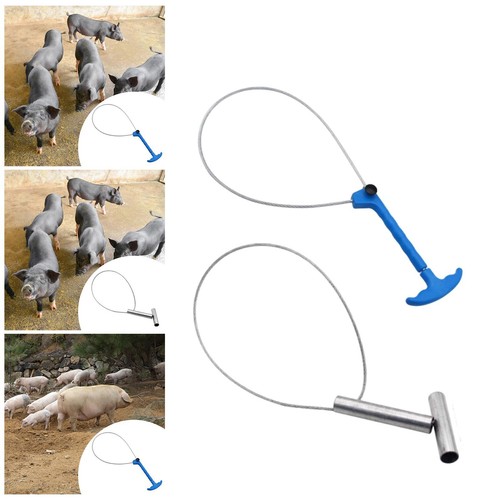 Pig catcher accessory animal - catcher,