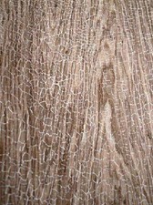 Vintage Snakewood Veneer