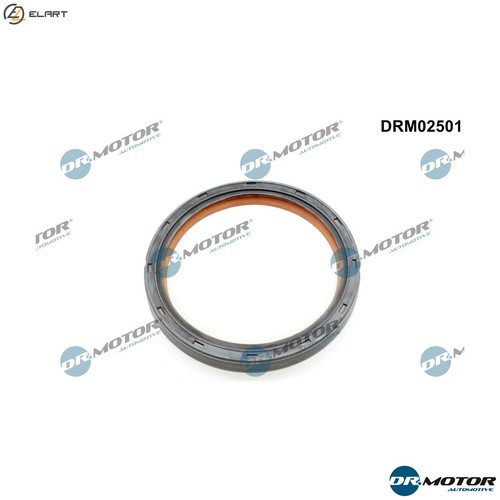 Shaft seal crankshaft drm02501 - shaft,