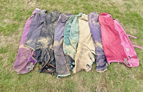 Job lot horse - 9", .....