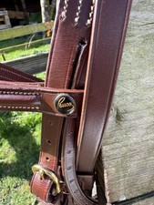 Pessoa Flash Noseband Bridle