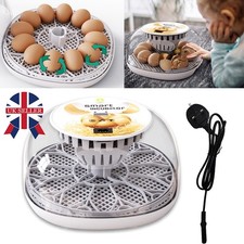 Digital egg incubator - digital, 12-egg