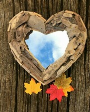 Fairtrade small driftwood