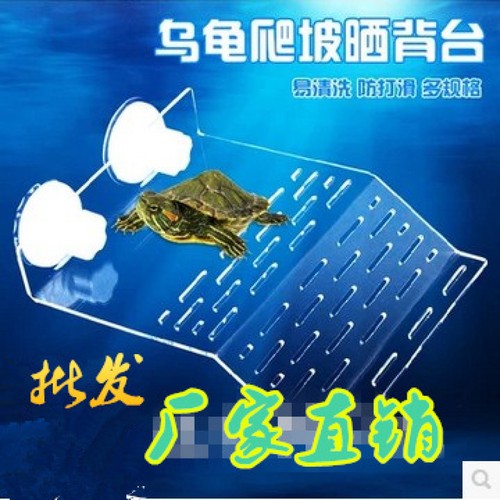 Turtle climbing rack slope - turtle,