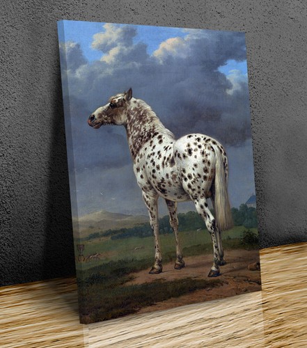 The piebald horse paulus - the,