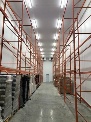 100 pallets cold - cold, room