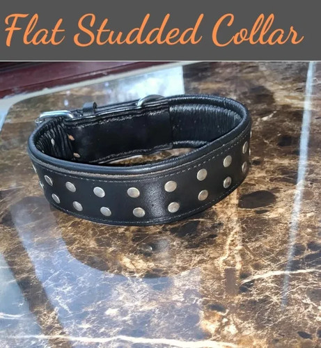 Black leather studded dog - studded,