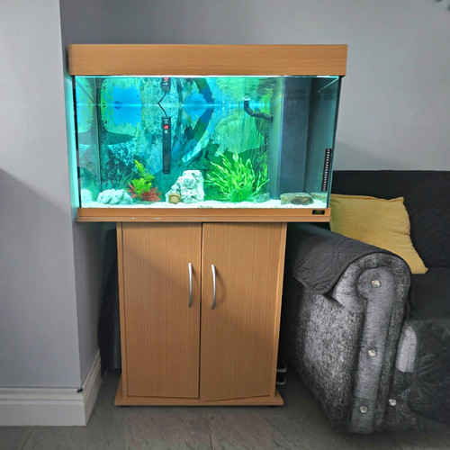 Juwel rio 125l - 125l, aquarium