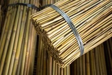 3ft-7ft Bamboo Wooden Plant Sticks Garden Plants Support Canes Strong Stick Cane