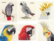 AFRICAN GREY PARROT, MACAW