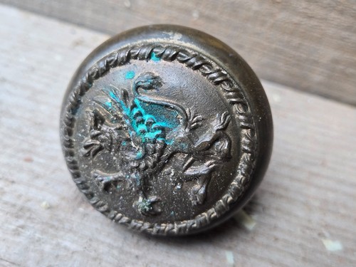 Brass griffin dragon - brass,