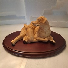 Teviotdale Labrador With Pup