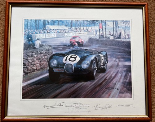 Jaguar type michael - jaguar, c