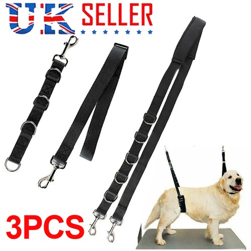 Band dog collar - collar,