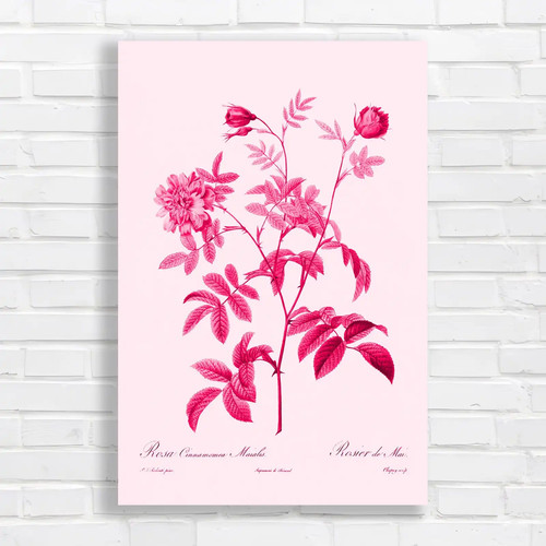 Vintage botanical floral pink - botanical,