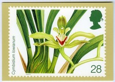 UK Postage Stamp Art Postcard Orchid Species Cymbidium Iowianum Unposted