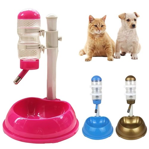 Automatic pet cat - automatic,