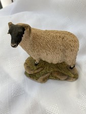 Border Fine Arts Swaledale