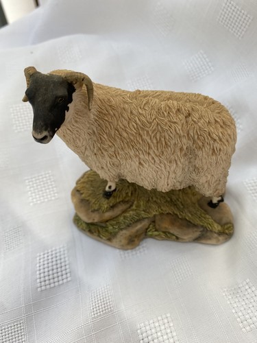 Border fine arts swaledale - border,
