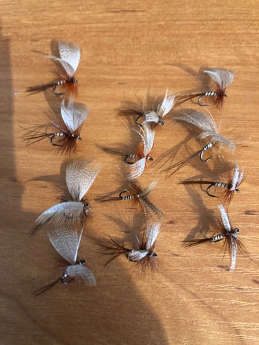 Mayfly dry fly - mayfly,