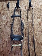  Kieffer Leather  Bridle, bit