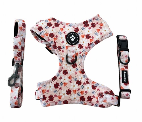 Dog harness collar and - dog, lead