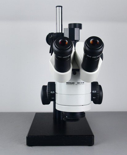 Leica wild m3z microscope - leica,