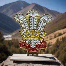 Vintage Prince Of Wales Plume