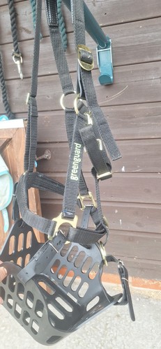Greenguard grazing muzzle and - muzzle,