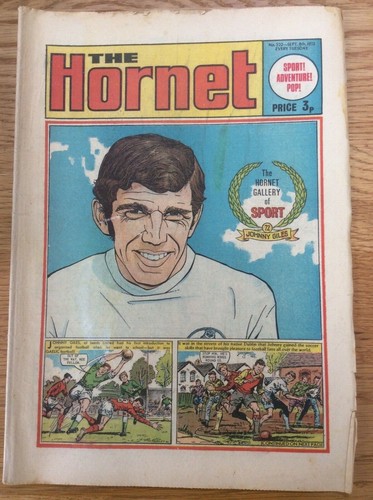 The hornet 522 73 briggs - hornet, #522