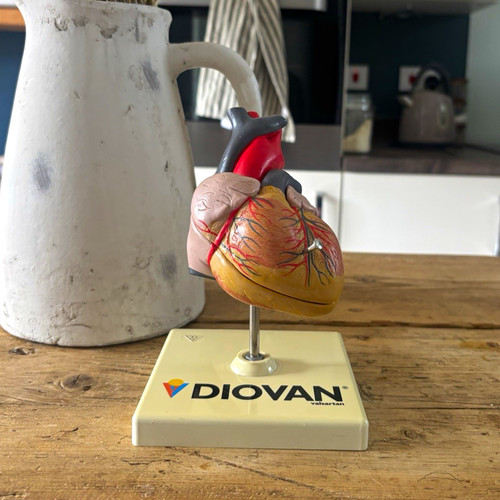 Diovan valsartan vintage - valsartan,