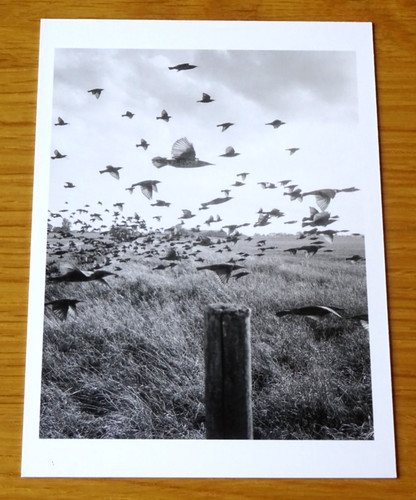 Martin parr foundation - parr,