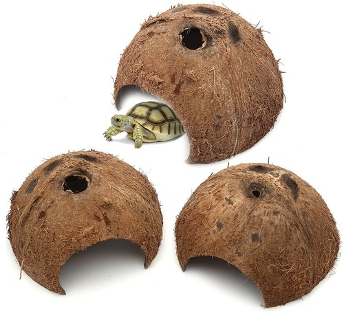 Set coconut shell cave - 3,