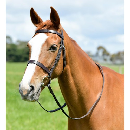 Kincade classic flat - kincade, hunt