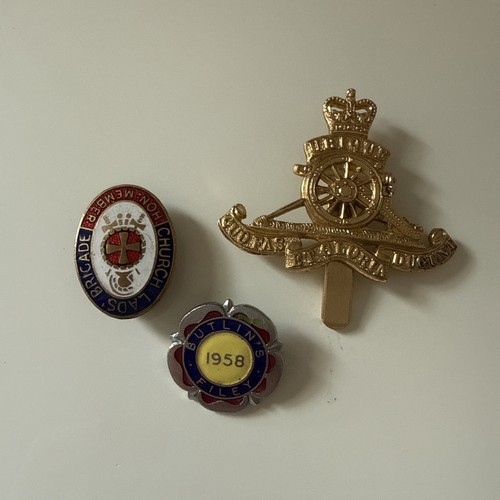 Mixed enamel badges - badges, cap