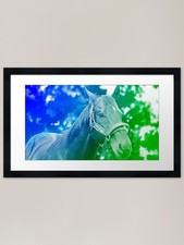 Thoroughbred horse portrait -