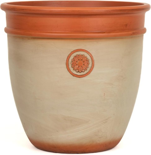 Large fawn garden - fawn, plant