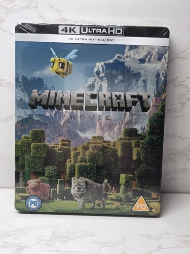 Minecraft movie limited - a,