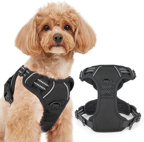 Dog harness for small dogs - dog,