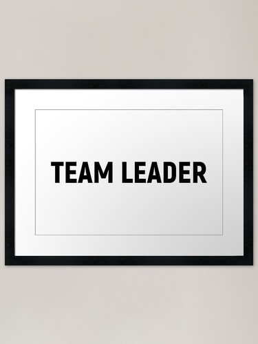 Team leader job title text - leader,